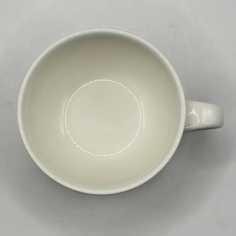 Villeroy and Boch Luxembourg 0137A 0138P Teacup And Saucer Service For 1